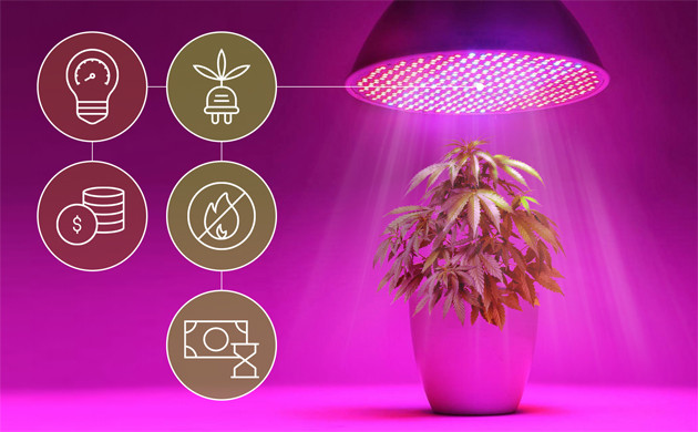 Особенности LED ламп Плюсы и минусы LED ламп