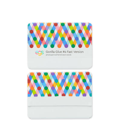 Gorilla Glue #4 Fast Version fem (Easy Grow Seeds)