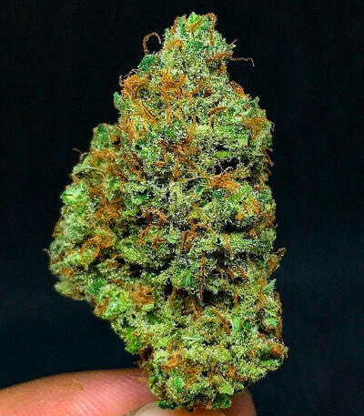 Сорт Ghost Train Haze fem (Seedkeepers)