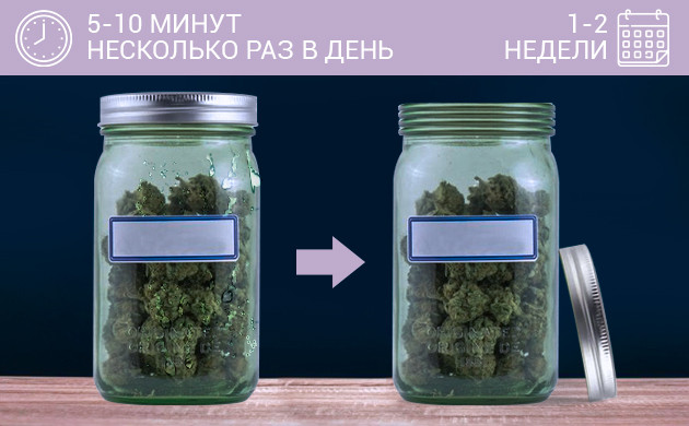 Хранение шишек во время пролечки Проветривать 5 минут в день в течение недели